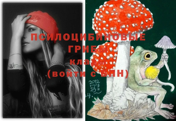 хмурый Алексеевка