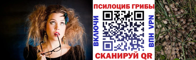 Галлюциногенные грибы мухоморы  как найти   Новомичуринск 